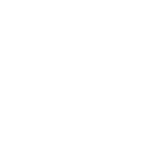 Logo Paarse Ananas